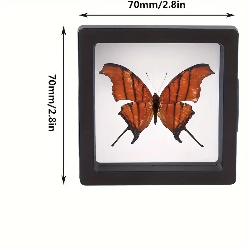 20 piezas Clearview 3D vitrina - Display Case Acrylic reseña y precio